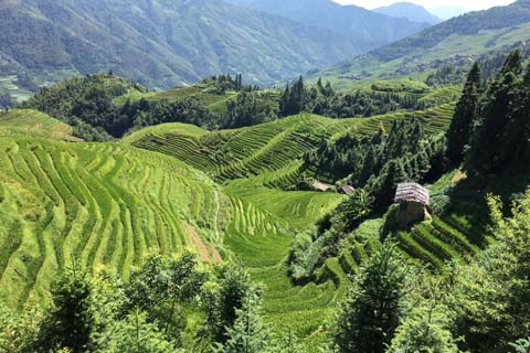 「功」と相性の良い漢字