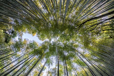 「綺」の意味と画数