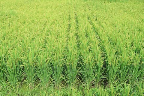 「遵」と相性の良い漢字