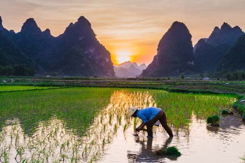 「評」の意味と画数