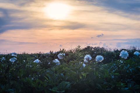 「維」と相性の良い漢字