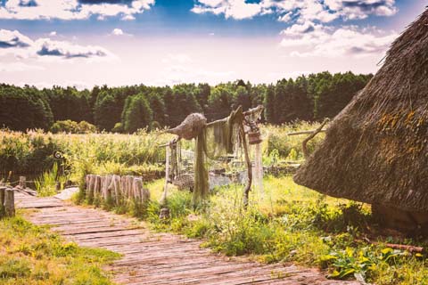 「岡」の意味と画数