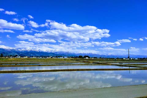 「談」と相性の良い漢字