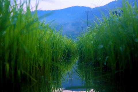 「慰」と相性の良い漢字