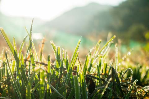 「短」の意味と画数