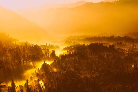 「寺」と相性の良い漢字