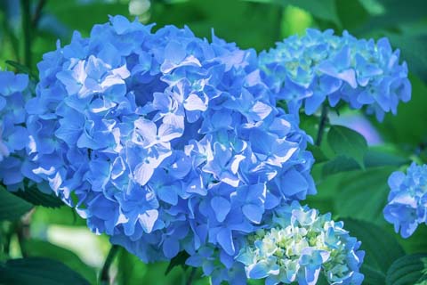 「線」の意味と画数