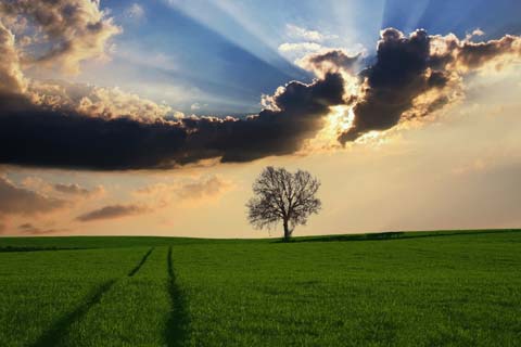 「奈」の意味と画数