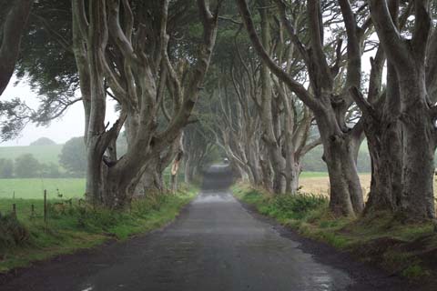 「陛」と相性の良い漢字