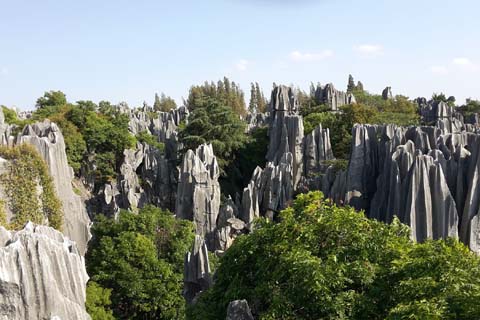 「坂」と相性の良い漢字