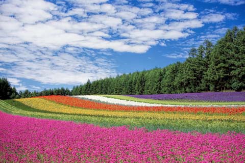 「綜」と相性の良い漢字