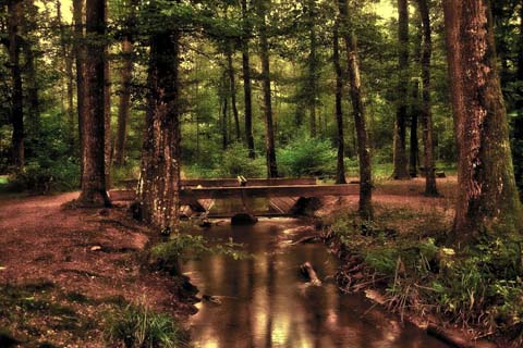 「敢」と相性の良い漢字